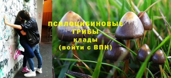 бошки Алзамай