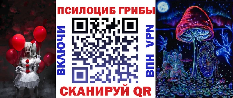 где найти   Всеволожск  Псилоцибиновые грибы Magic Shrooms 